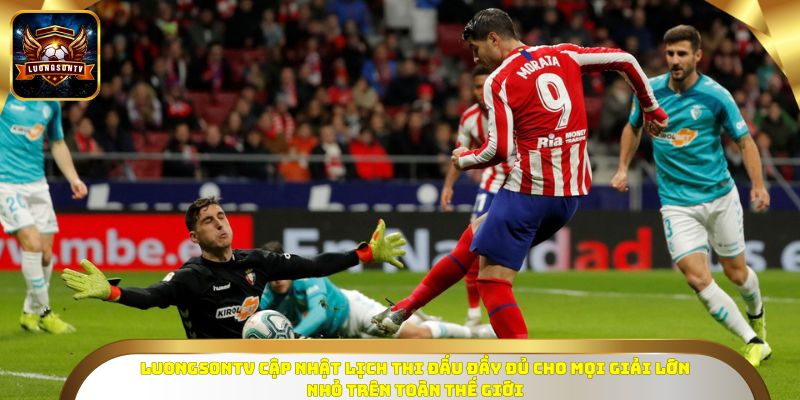 Luongsontv cập nhật lịch thi đấu đầy đủ cho mọi giải lớn nhỏ trên toàn thế giới