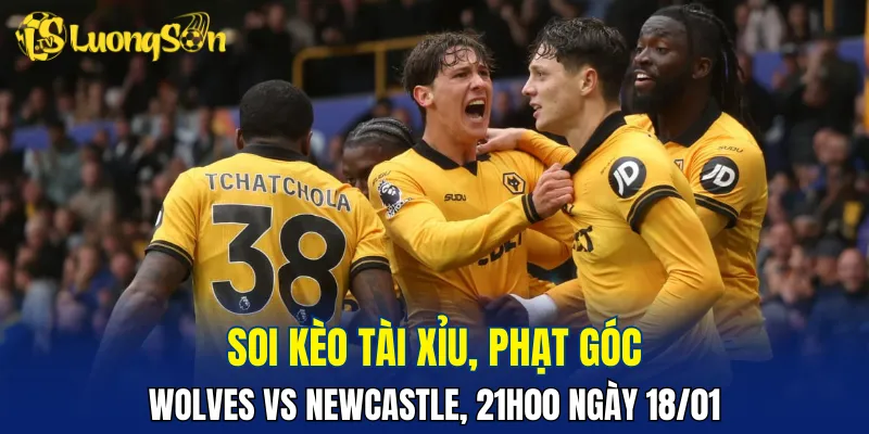 Trận đấu Wolves vs Newcastle hứa hẹn có nhiều bàn thắng