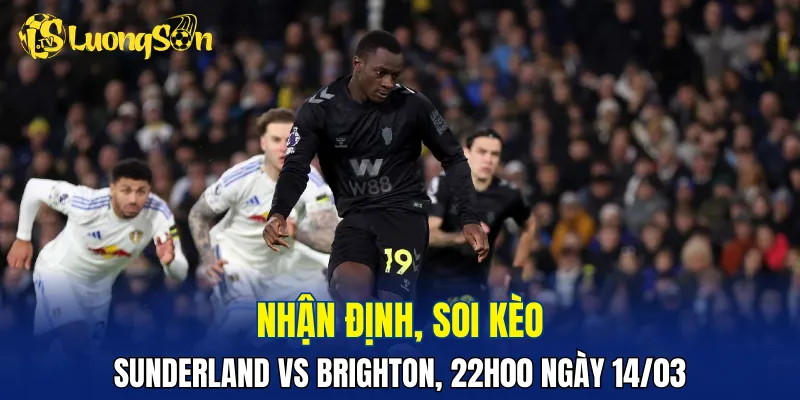 Trận đấu Sunderland vs Brighton dự đoán khá hấp dẫn